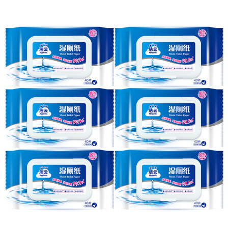 Hygienix 洁云 湿厕纸40片*6包 清洁湿纸巾湿巾 搭配卷纸卫生纸使用 擦屁屁专