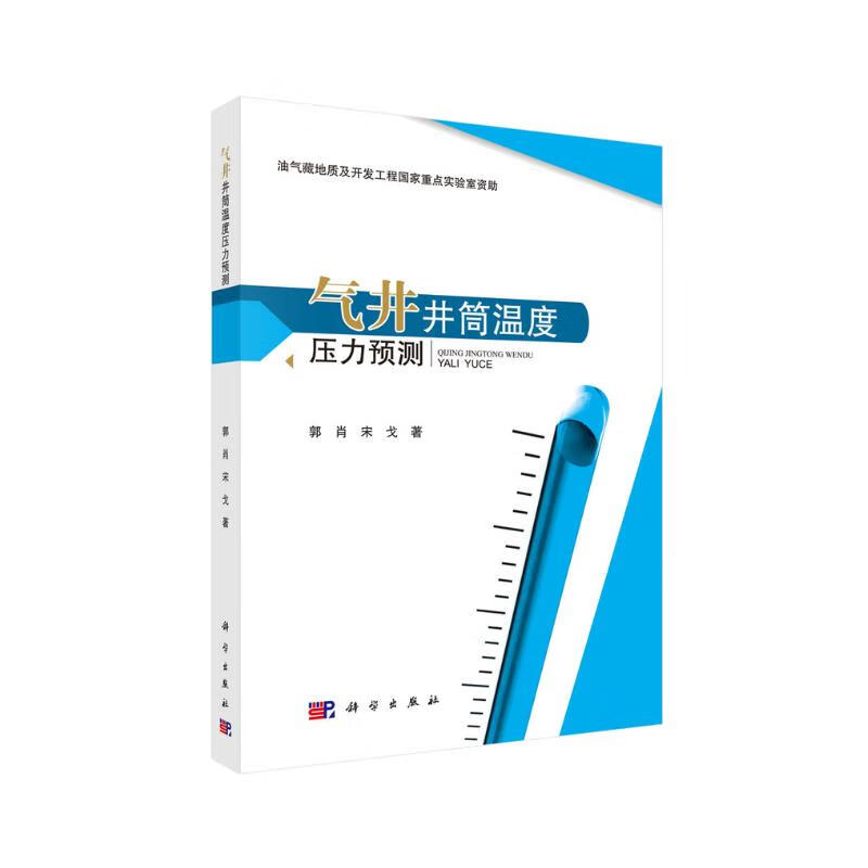 气井井筒温度压力预测 43.82元（需买3件，共131.46元）