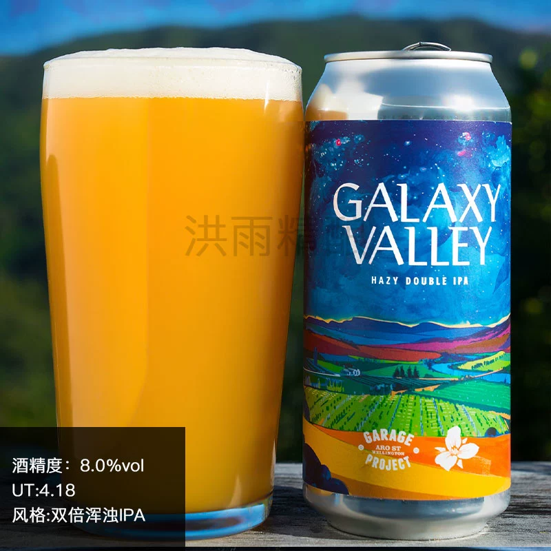 Garage Project 车库计划 黑帮三花 美式IPA啤酒 330ml 单听装 ￥23.13