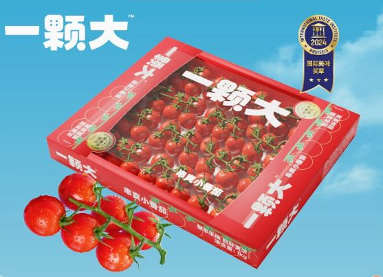 一颗大 玲珑串樱桃小番茄1kg 24.68元（需用券）