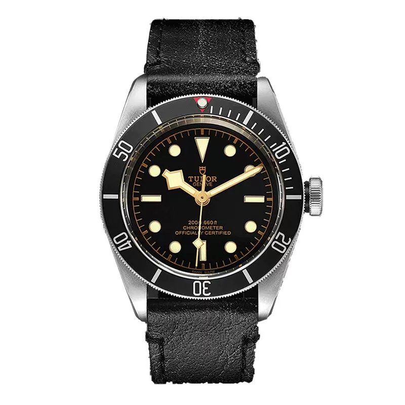 TUDOR 帝舵 碧湾系列 男士自动上链腕表 m79230n-0008 ￥24003