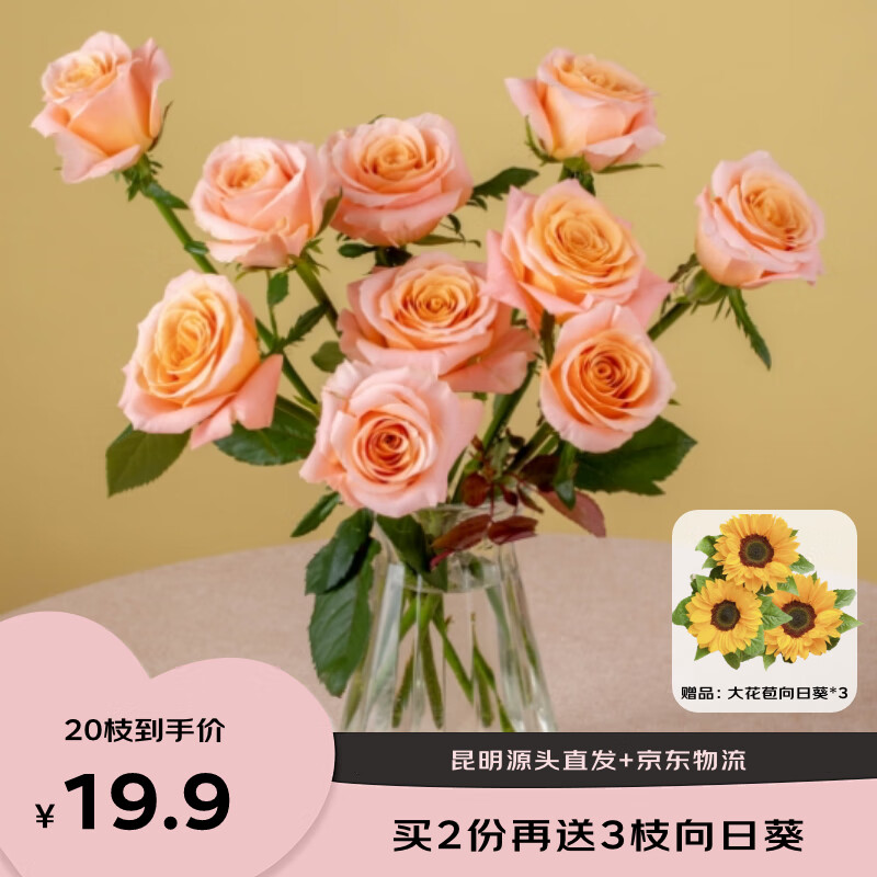 京东鲜花 源头直发昆明基地玫瑰花买10枝送10枝共20枝颜色07 19.9元（需用券