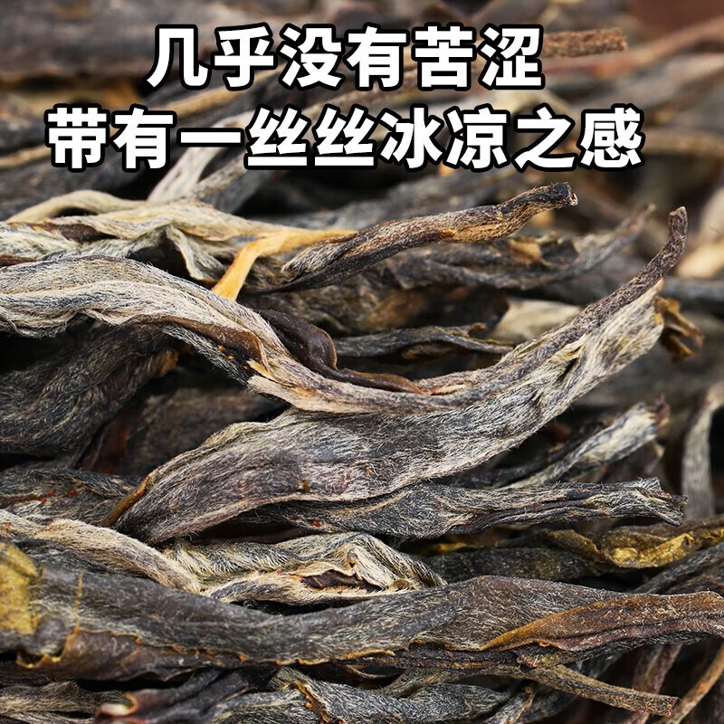 勐洛小寨 易武薄荷塘普洱茶生茶叶散茶古树茶云南2024春茶新茶生普洱 买一