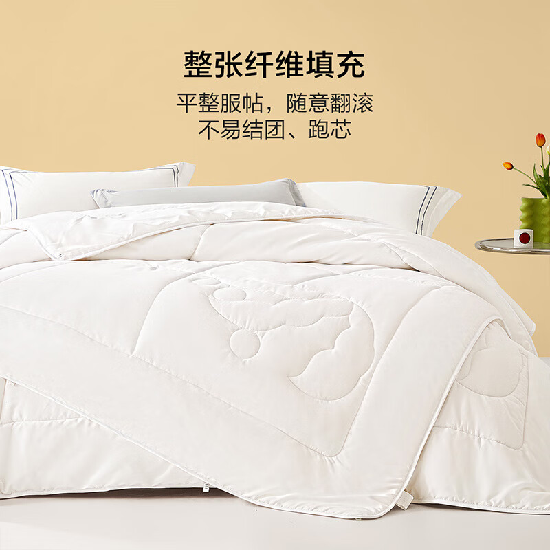 BLISS 百丽丝 大豆抗菌春秋被 220*240cm 89元（需用券）