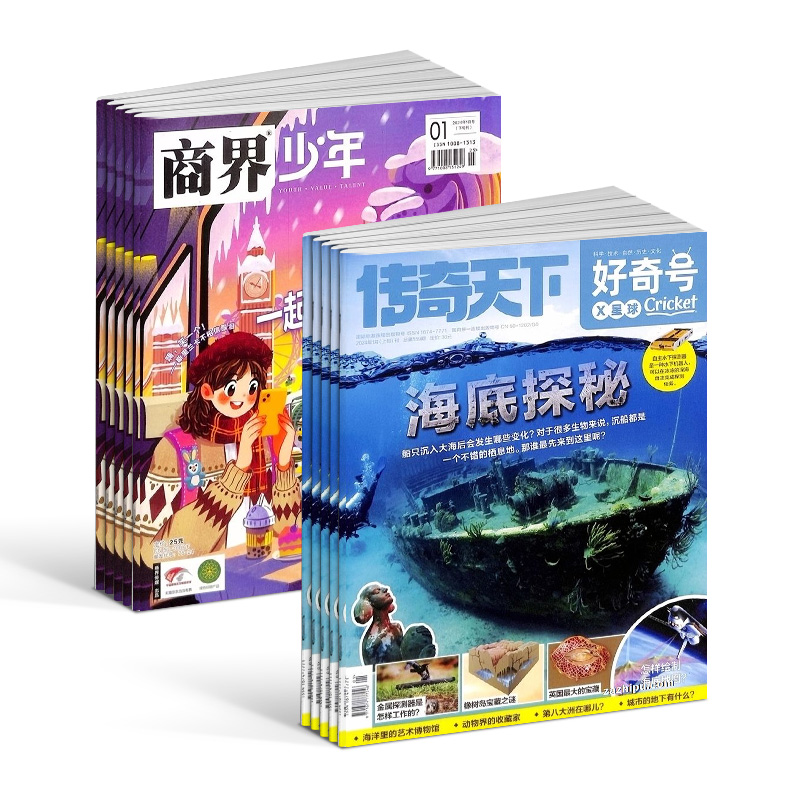 《好奇号+商界少年》（2025年1-12月） 261.04元（共400.55元，需凑单）