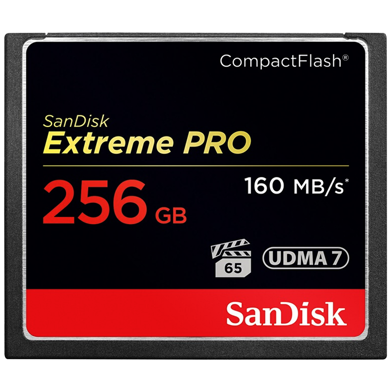 闪迪（SanDisk）256GB CF（CompactFlash）高级单反相机存储卡 UDMA7 4K至尊超极速版 