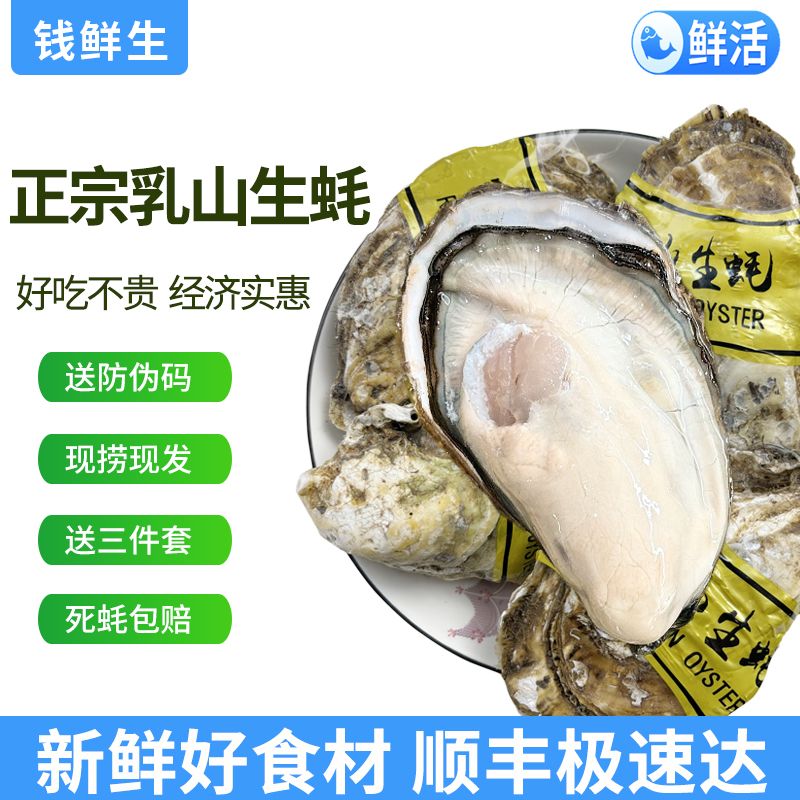 百亿补贴：钱鲜生 鲜活乳山生蚝5斤3XL新鲜牡蛎海蛎子 36.9元（多人团）