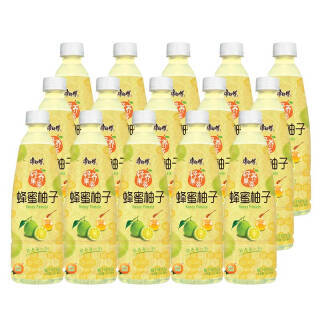 康师傅果汁蜂蜜柚子500ml*15果汁果味饮料轻养果荟 *2