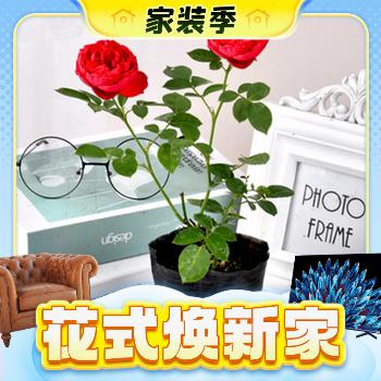 others 其他 四季花卉月季盆栽 1.99元（需用券）