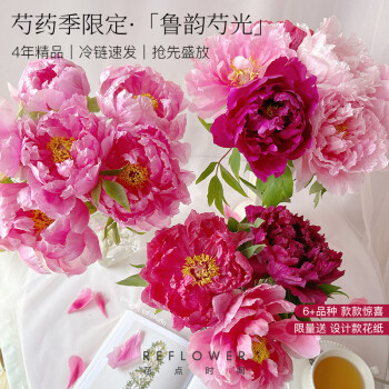 花点时间 芍药鲜花花束 山东芍药10枝 ￥29.9