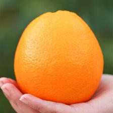 PLUS会员：高凉州储良村 正宗赣南脐橙 10斤优选大果 (80-90mm) 56.9元包邮（双
