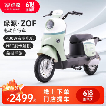 LUYUAN 绿源 ZOF 电动自行车 LY2000DT-9 ￥2479