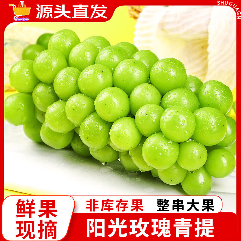 鲜程祥合 一级果 阳光玫瑰 葡萄 净重2.25斤（单果8-15g） ￥29.95