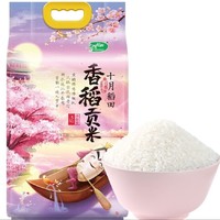 SHI YUE DAO TIAN 十月稻田 香稻贡米 5kg ￥18.9