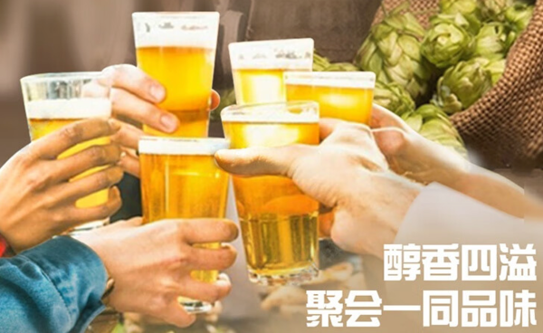 Carlsberg 嘉士伯 醇滑拉格啤酒 500ml*12听 整箱装