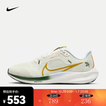 NIKE 耐克 PEGASUS 40 EK 男子公路跑步鞋 BB FV3631-081 41 ￥423.95