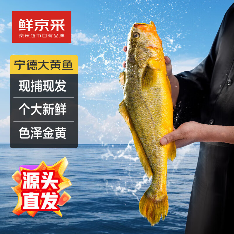 鲜京采 冰鲜黄鱼400g*4条(净重1.6kg) 宁德特产 地标源头直发 57.8元（需用券）