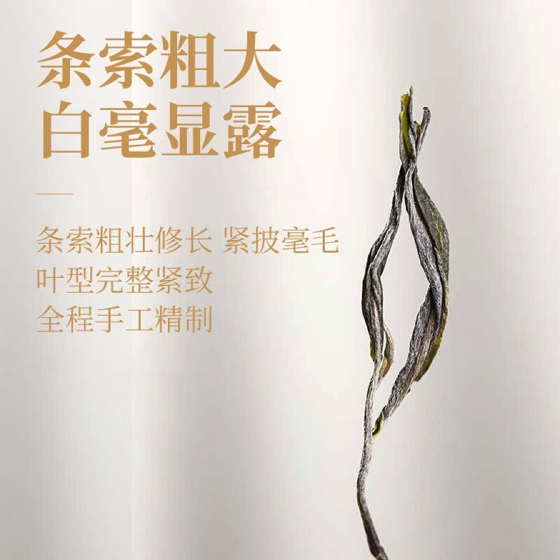 滇南记冰岛早春普洱生茶云南生普洱茶古树普尔春茶新茶散茶叶2024年 买一