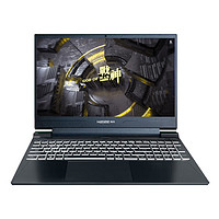 Hasee 神舟 战神S8D92 15.6英寸游戏本（i9-12900H、16GB、1TB、RTX4060） ￥5188