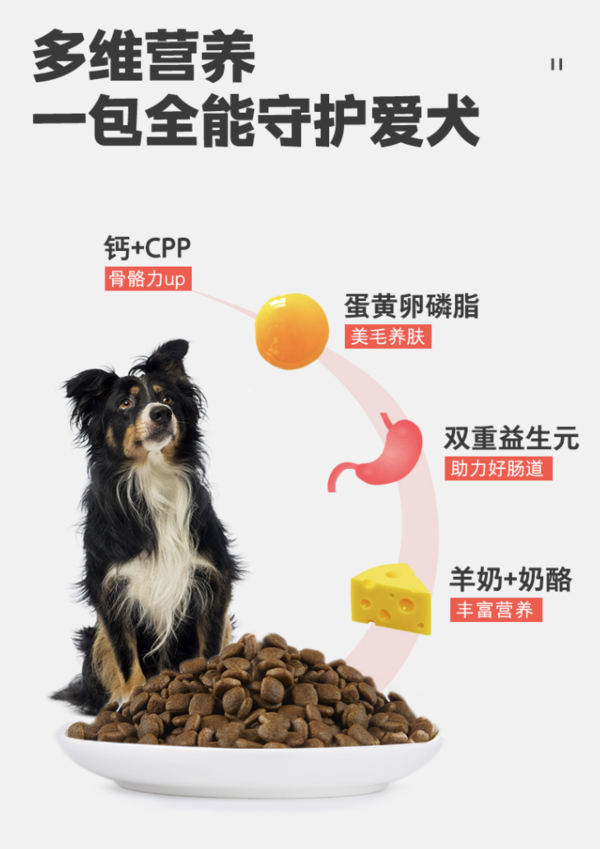 NOURSE 卫仕 食荟FD系列 鸡肉味全犬全阶段狗粮 2.5kg*6袋