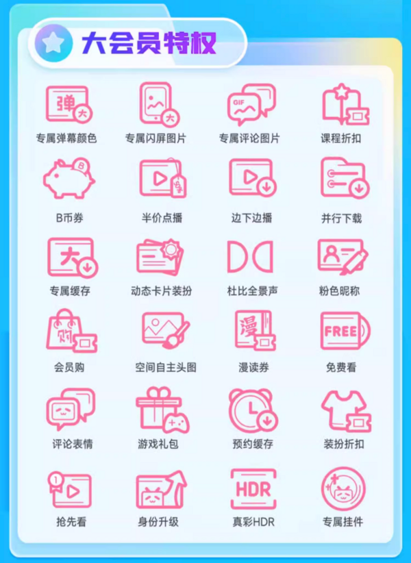 bilibili 哔哩哔哩 大会员 13个月 官方直充