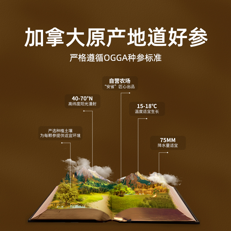 大山行 西洋参加拿大圆泡参227克特级花旗参母亲节礼盒袋 2028元（需用券）