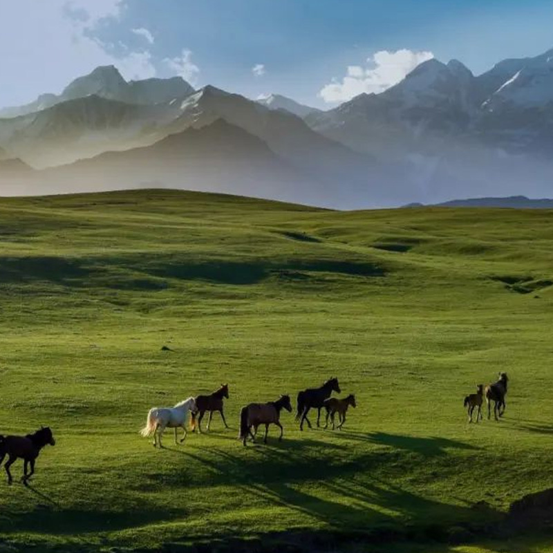 万达酒店及度假村新疆区域17店2晚通兑+全程可用不加价！ 399元