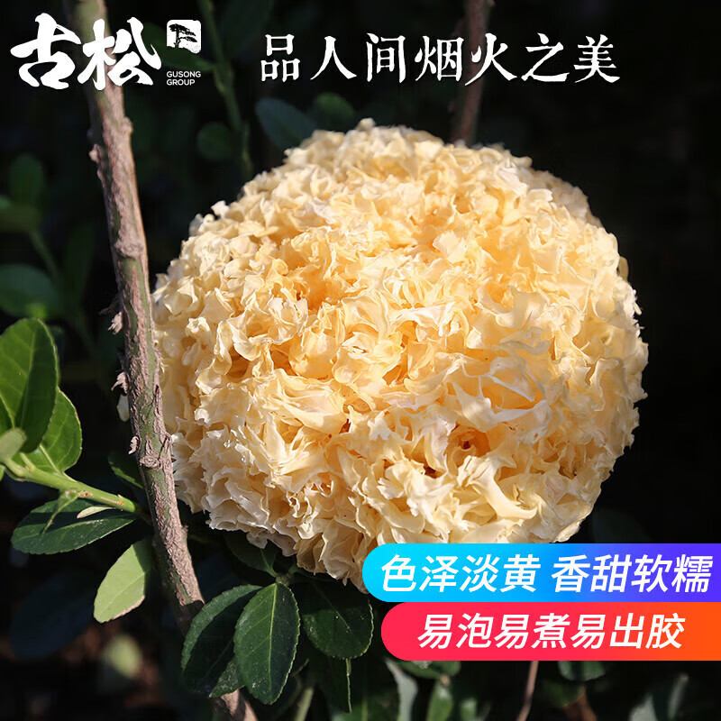 Gusong 古松食品 古松 银耳 250g 福建古田干货 34.8元（需用券）