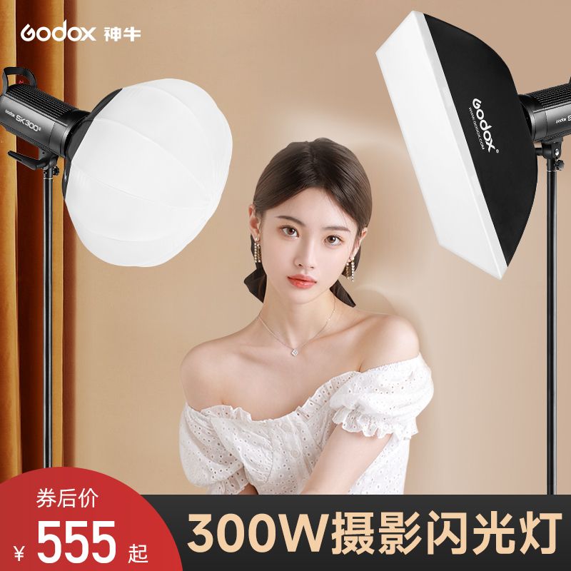 Godox 神牛 SK300WII二代摄影室闪光灯影棚柔光灯内置接收拍照人像摄影灯 555元