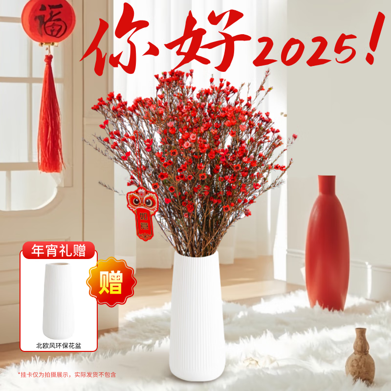 ToSpring 2025新年装饰福桶摆件 腊梅200g左右（附赠花瓶） 16.9元（需用券）