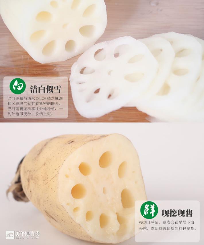 巴河新鲜莲藕 5斤(适合煲汤 湖北特产$20