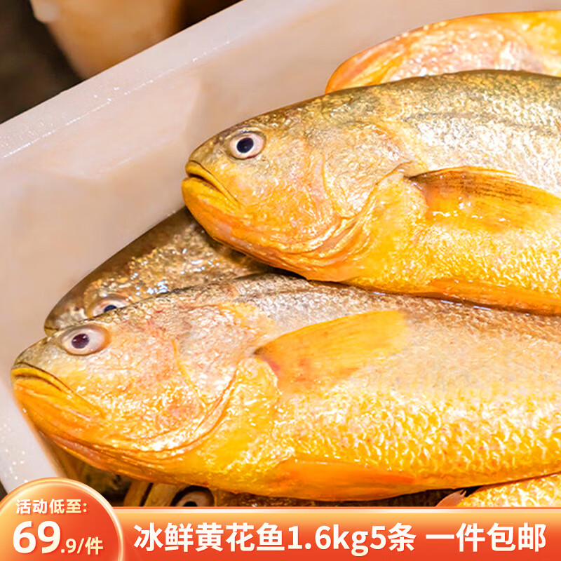 鸿顺 黄花鱼5条300-350g 生鲜鱼类 宁德大黄鱼 源头直发 * 64.9元（需用券）