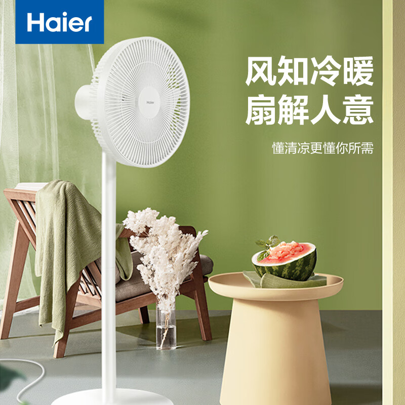 Haier 海尔 电风扇直流省电落地扇 HFS-Y3031BU1 207.6元（需用券）