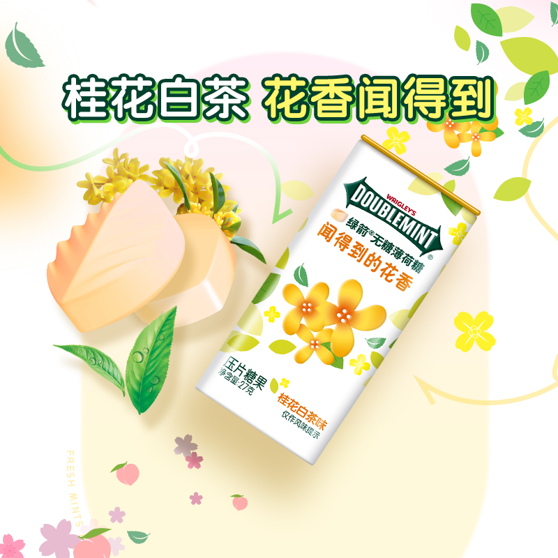 DOUBLEMINT 绿箭 WRIGLEY’S DOUBLEMINT 绿箭 无糖薄荷糖 桂花白茶味 27g 2件 25.17元