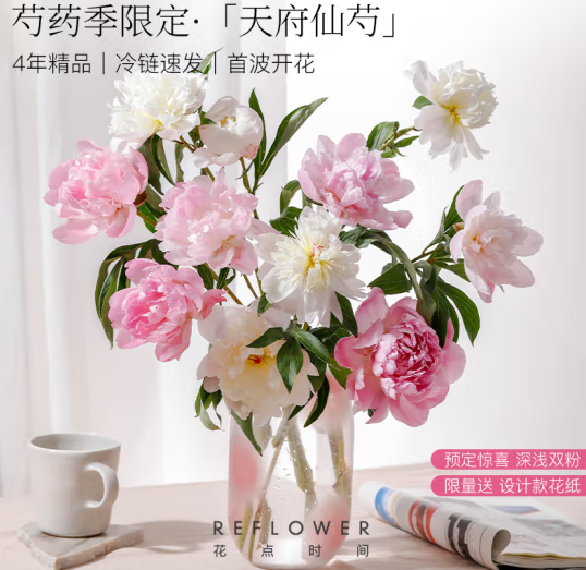 花点时间 成都重瓣芍药 8枝 ￥29.9