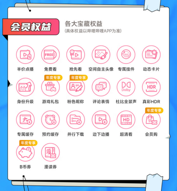 bilibili 哔哩哔哩 B站大会员12个月年卡