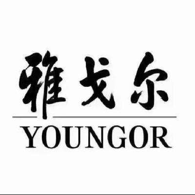 19日0点开始、促销活动：京东 YOUNGOR 雅戈尔 大放价全场低至两位数！ 3件6折