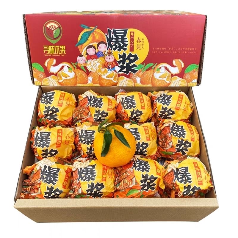 MZPLOI 特大果 单果80MM+ 四川春见耙耙柑 4.5斤装 16.99元（需买2件，需用券）