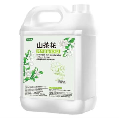 圣洁康 抑菌 洗手液大桶 5斤装补充液+洗手液 9.69元（需凑单，需用券）