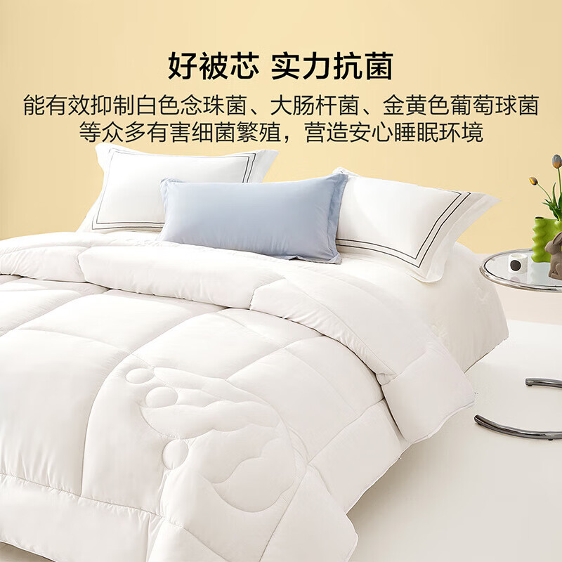 BLISS 百丽丝 水星集团出品 大豆抗菌加厚冬被 220cm*240cm（约8.6斤） 106.71元（