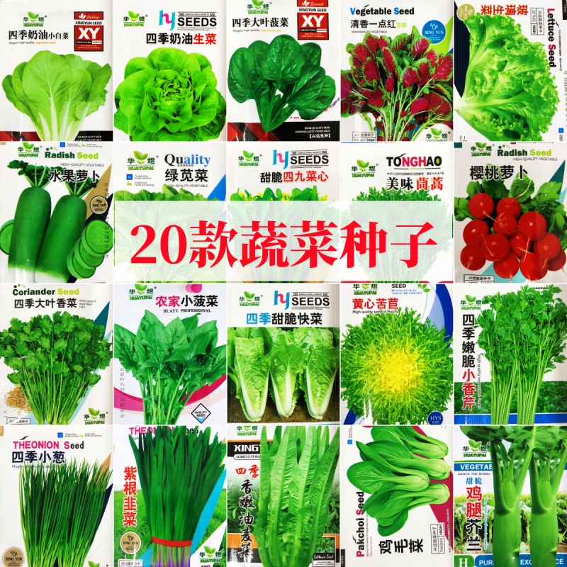 昊兰诺 蔬菜种子四季播种阳台农家盆栽香菜菠菜生菜韭菜小葱萝卜籽孑大全