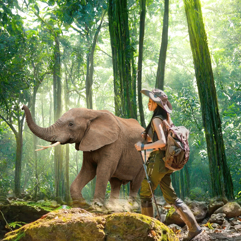 【独立用车1家1团】全程温德姆!云南旅游西双版纳纯玩5天私家团 1399元