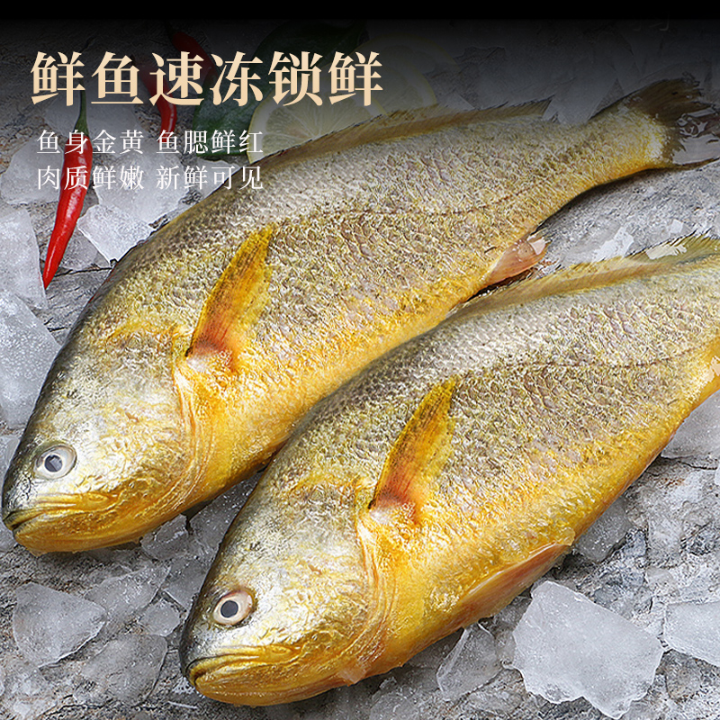 xianchi 鲜驰 新货大黄花鱼 250-300g/只 2条 39.9元（需用券）