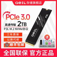 GeIL 金邦 P3L固态硬盘2600 2TB ￥209