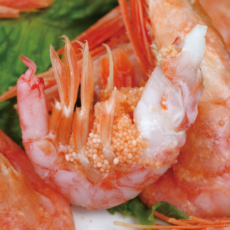 虾籽饱满 9斤:加拿大 豪鲜品 北极甜虾 拍下2
