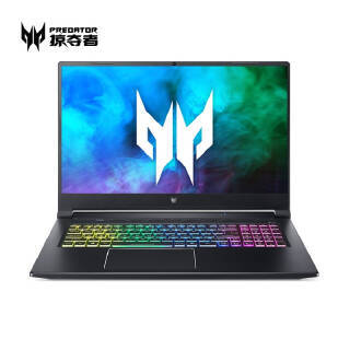 acer 宏碁 掠夺者 战斧300 17.3英寸游戏笔记本电脑