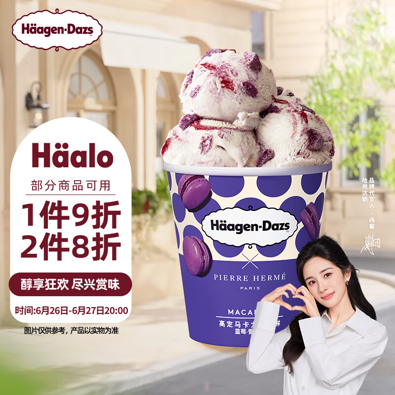 Häagen·Dazs 哈根达斯 Haagen-Dazs）蓝莓香草味高定马卡龙冰淇淋420ml 65元