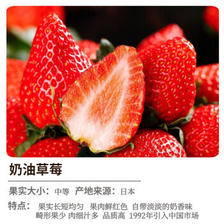 奶油草莓苗2盆+肥料 带盆 2.8元（需用券）