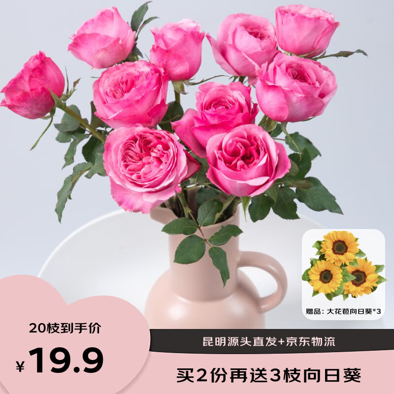 京东鲜花 云南基地玫瑰花单色玫瑰花买10支送10支源头直发 19.9元（需用券）