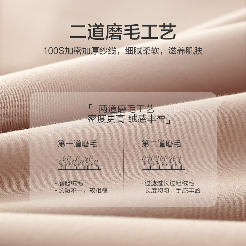 southbedding 南方寝饰 100支磨毛纯棉床上四件套全棉保暖秋冬被套床单床笠套